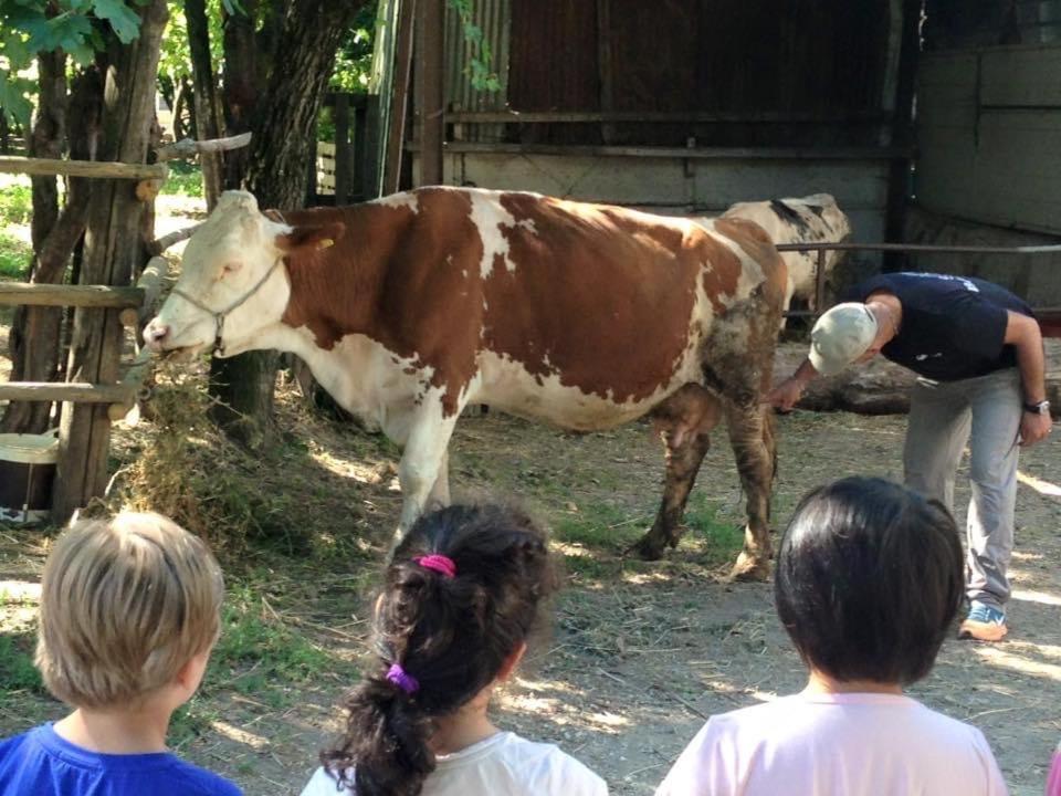 Agriturismo Da Baffone Santo Stefano del Sole Εξωτερικό φωτογραφία